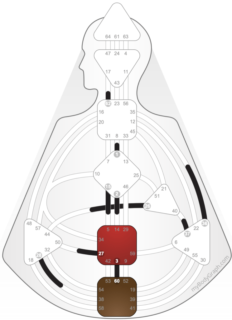 human design body graph 5.8.23